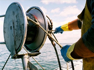 Fedagripesca: i danni ambientali costano alla pesca italiana 200 milioni all'anno